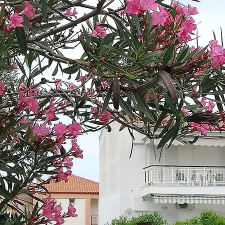 2 Bedroom Flat In *